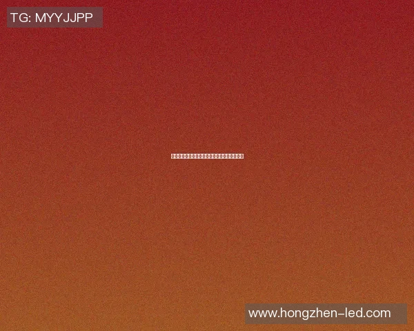 中国足球最新赛事动态分析与未来发展趋势探讨