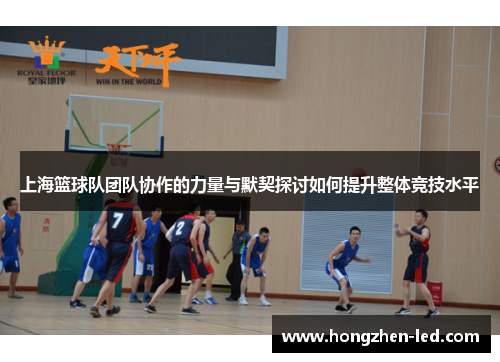 上海篮球队团队协作的力量与默契探讨如何提升整体竞技水平