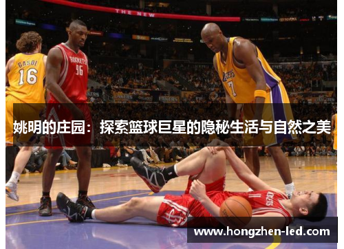 姚明的庄园：探索篮球巨星的隐秘生活与自然之美