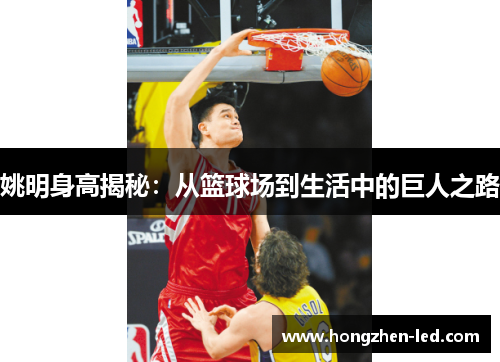 姚明身高揭秘：从篮球场到生活中的巨人之路