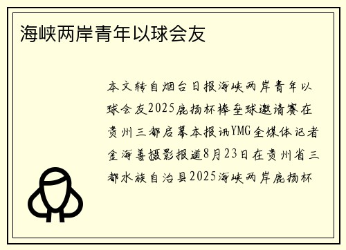 海峡两岸青年以球会友